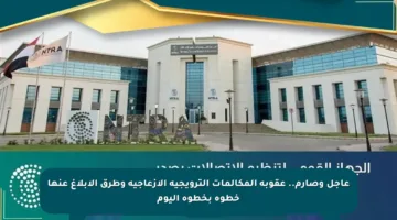 عاجل وصارم.. عقوبة المكالمات الترويجية الإزعاجية وطرق الإبلاغ عنها خطوة بخطوة اليوم